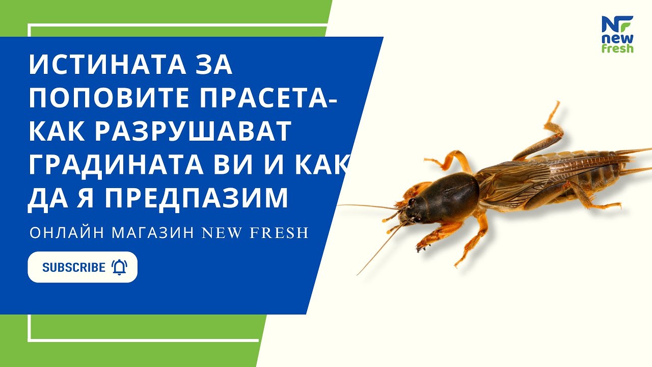 Натурален продукт HÜNIGER срещу ПОПОВО ПРАСЕ