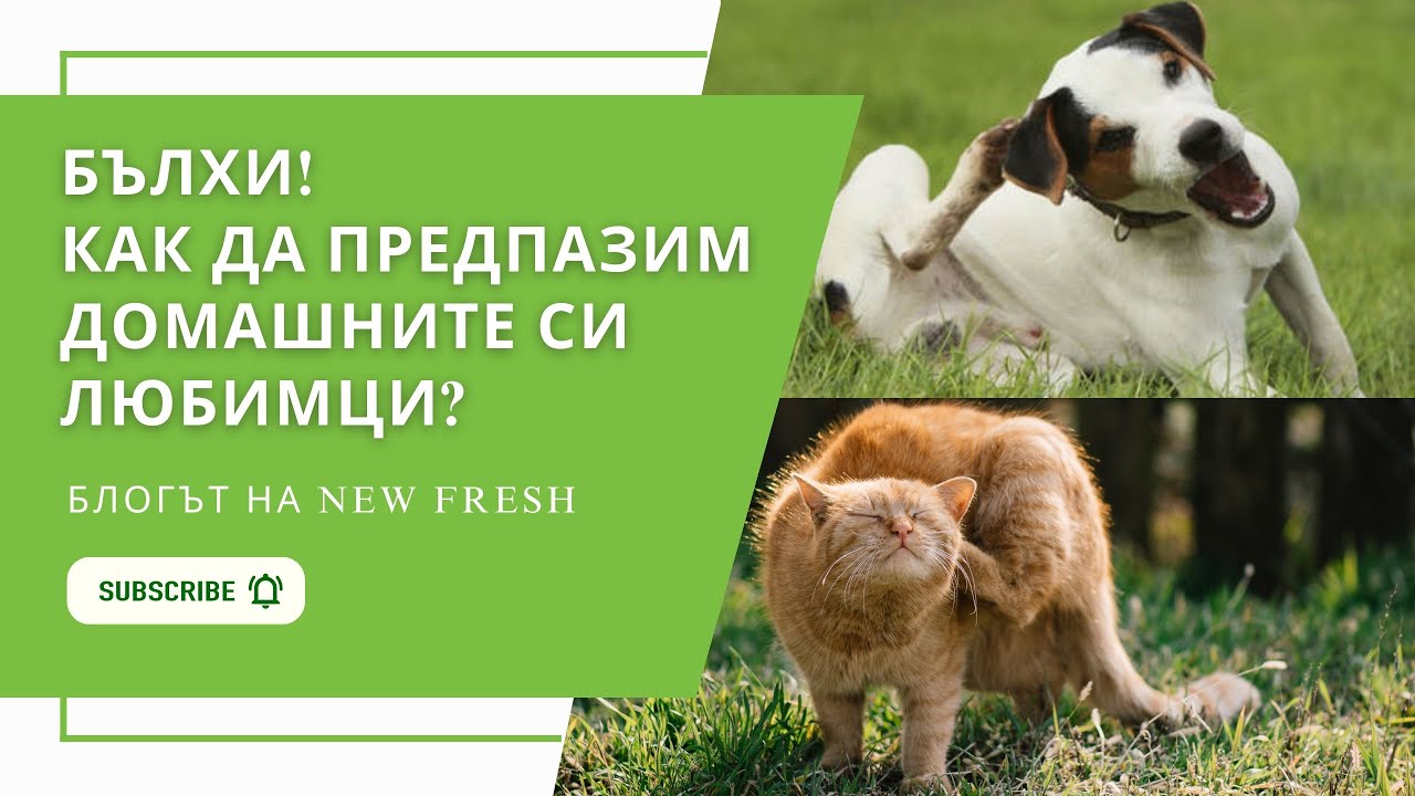 Натурален продукт HÜNIGER срещу БЪЛХИ