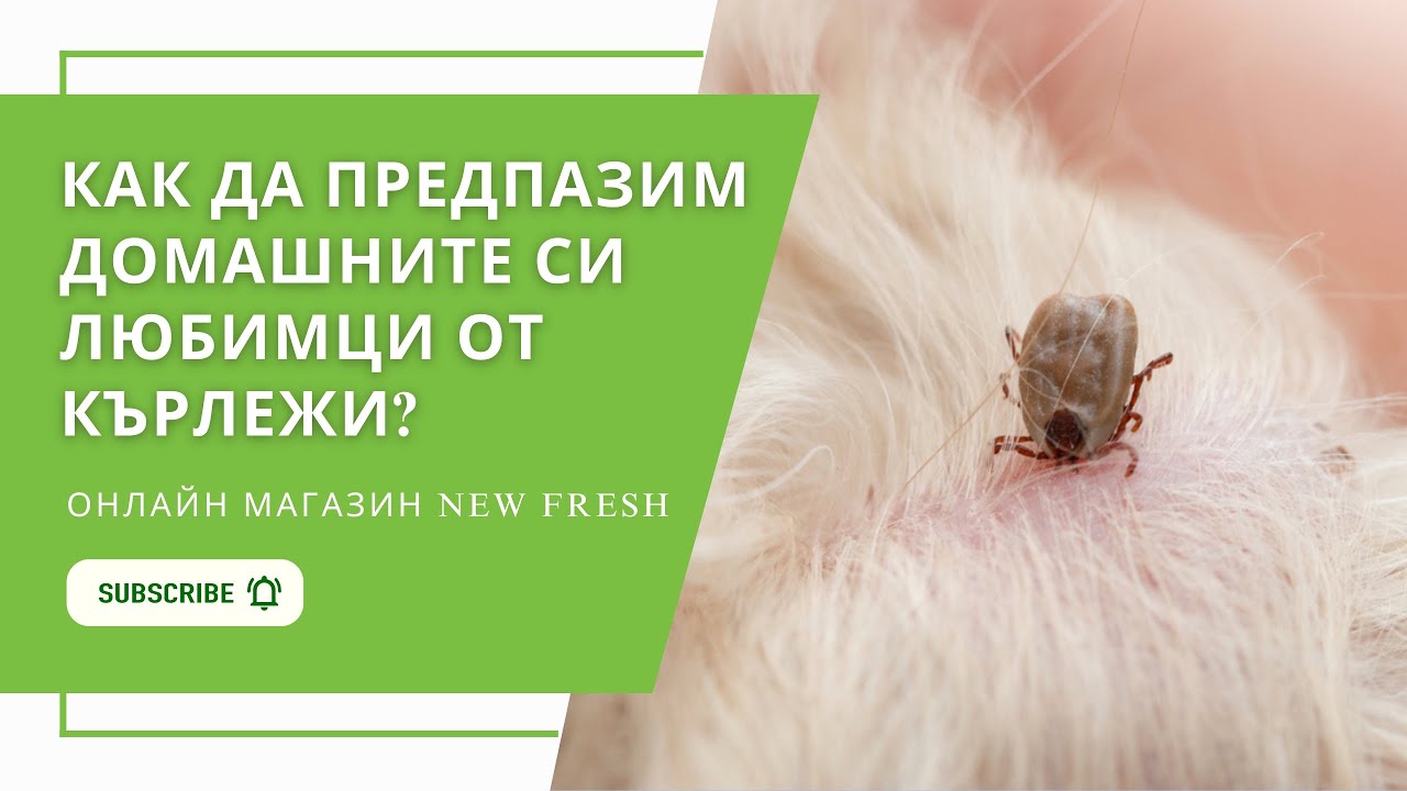 Натурален продукт HÜNIGER срещу КЪРЛЕЖИ
