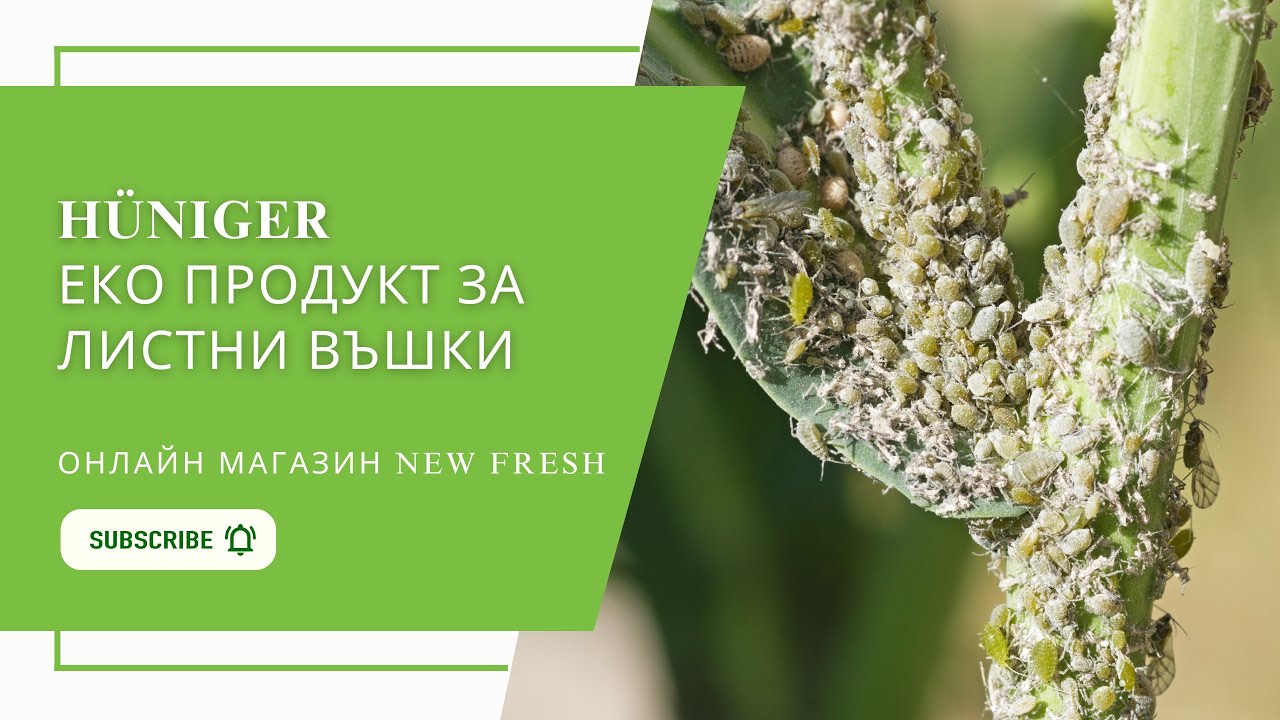 Натурален продукт HÜNIGER срещу ЛИСТНИ ВЪШКИ