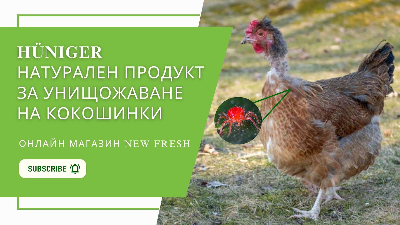 Натурален продукт HÜNIGER срещу КОКОШИНКИ