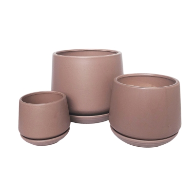 Pink Cocoa -