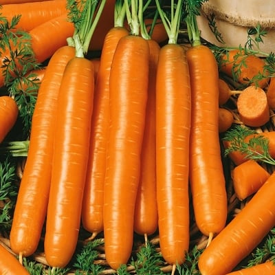 Семена Моркови Наоми 5 гр