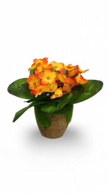Декоративно изкуствено цвете  иглика в саксия  Височина: 16 см. Различни цветове