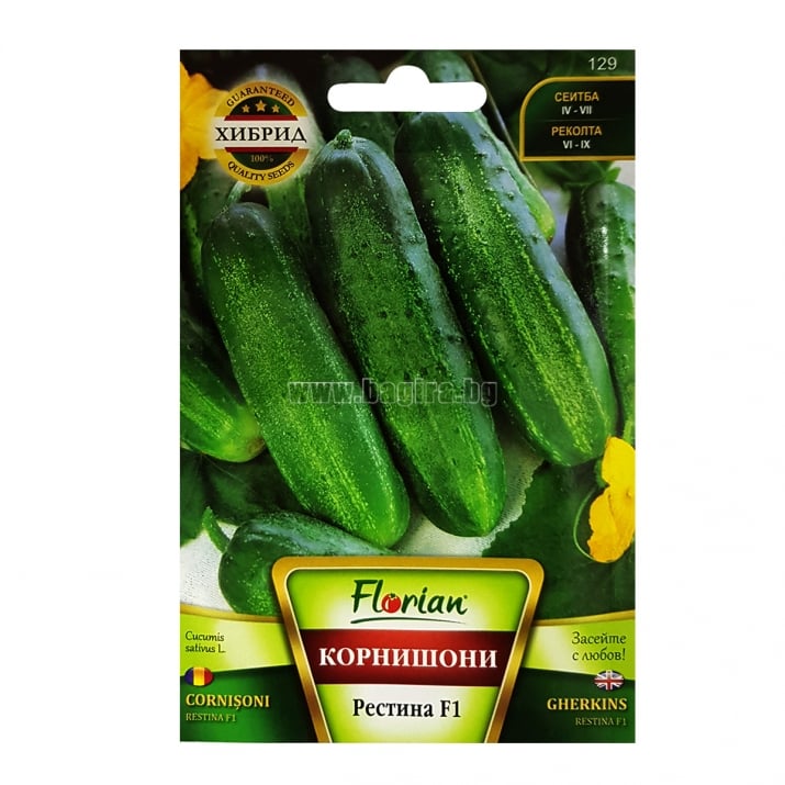 Корнишони Рестина F1 Florian 1.5 гр | Bagira