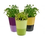 Самополивна саксия - " РОЗМАРИН "