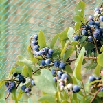 Мрежа против птици BIOBIRDS / Ширина - 4 метра