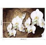 Фототапет Бяла орхидея