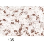 Мазилка Silkcoat Prestige течен тапет Мазилка Silkcoat Prestige течен тапет - ЦВЯТ 135