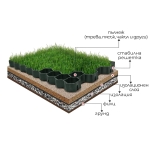 Паркинг елемент Patrol Ekogrid - 50 × 50 × 4 см