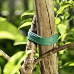 PVC връзка за фиксиране на растения 0570002 - 100 метра