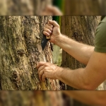 Туристически нож NEO Tools 63-110 с цяло острие и кания - 25 см