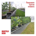 Покривало против плевели AGRITELA NERA