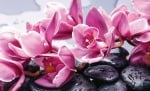 Фототапет Релакс Орхидеи