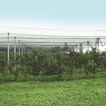 Мрежа против градушка Windhager - 8 мм / 5 × 4 м