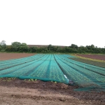 Мрежа против градушка и птици IRIDE BASE - 7,1 мм