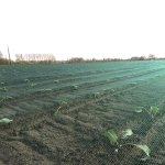 Мрежа против градушка и птици IRIDE BASE - 7,1 мм