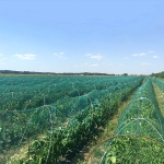 Мрежа против градушка и птици IRIDE BASE - 7,1 мм