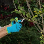 Градински нож за присаждане с две остриета Palisad - 165 мм