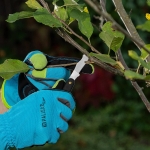 Градински нож за присаждане с две остриета Palisad - 165 мм