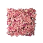 Пано с цветове от розова хортензия 27х27 см