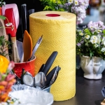 Двулицева домакинска хартия с една цветна и една бяла страна Renova - 120 къса / 2 пласта